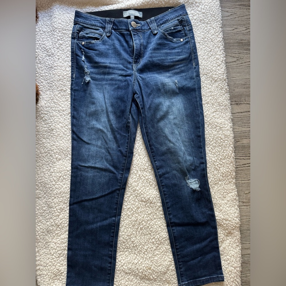 Wit and Wisdom skinny jeans.